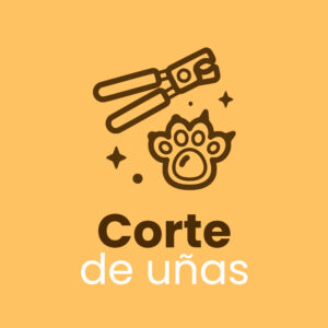 corte-uñ1